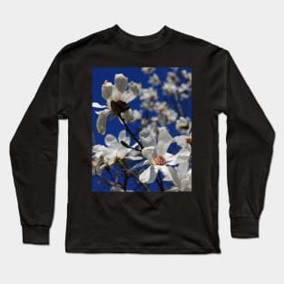 A Stake Through Winter's Heart - Beautiful Magnolia Tree Blossoms Long Sleeve T-Shirt